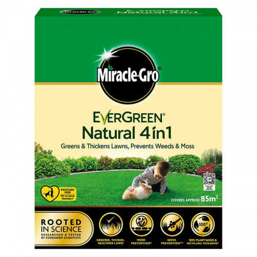 Miracle gro deals evergreen